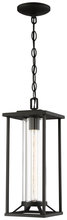 Minka-Lavery 72474-66 - TRESCOTT - 1 LIGHT CHAIN HUNG